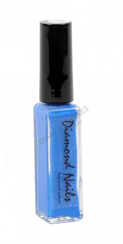 Vopsea acrilica cu pensula Albastru - DN041