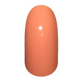 GPXP08 Gel Polish tip stilou 4g