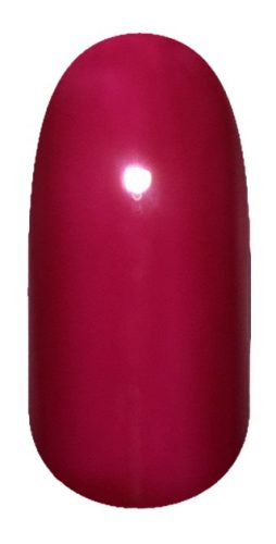 GPXP09 Gel Polish tip stilou 4g