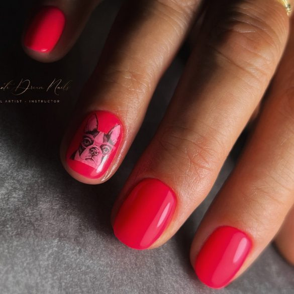 Gel Lac 4 ml - DN197 - Pensula nouă!