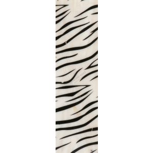 Scoici Banda -Zebra