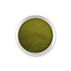 Praf Acryl Colorat - DN04- Verde - 3g