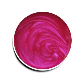 Diamond Nails Gel UV Colorat - Ciclamen - 029 - 5g