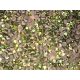 Pietre Swarovski Metalice, Verde , 20buc