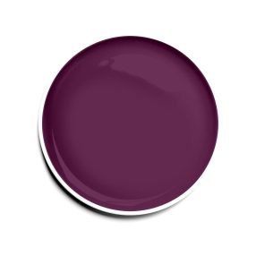 Diamond Nails Gel UV Colorat - Mov Intens - #038 - 5g