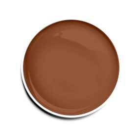 Diamond Nails Gel UV Colorat - Maro Alună - #041 - 5g