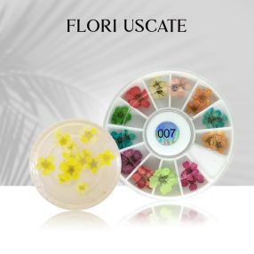 Flori Uscate