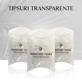 Tipsuri Transparente