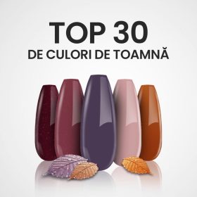 TOP 30 Gel lac de toamnă